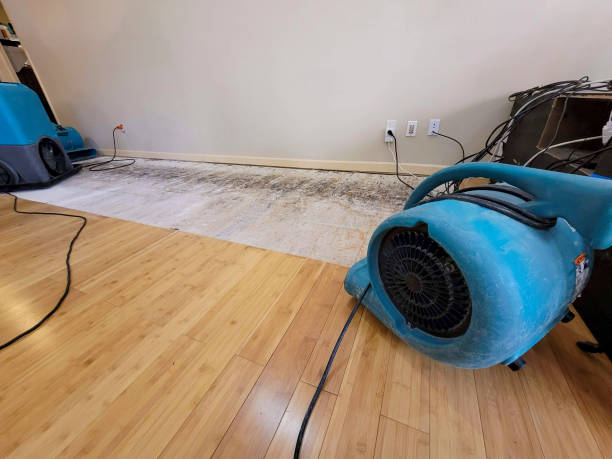 Reliable Basement Flood Cleanup contractor in Shaver Lake, CA by Hirex Water Damage