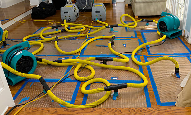 Professional Basement Flood Cleanup technician working in Shaver Lake, CA